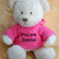 you r special Teddy Bear with T-shirt