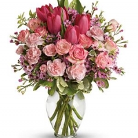 Mixed Colour Flowers